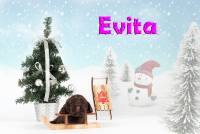 Evita3web